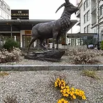 Szálloda Carlton-europe Vintage Adults Interlaken