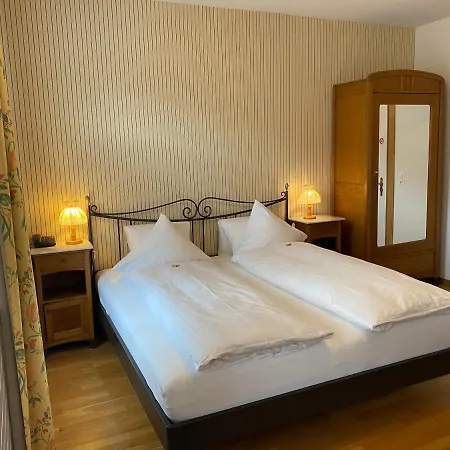 Carlton-europe Vintage Adults Hotell Interlaken