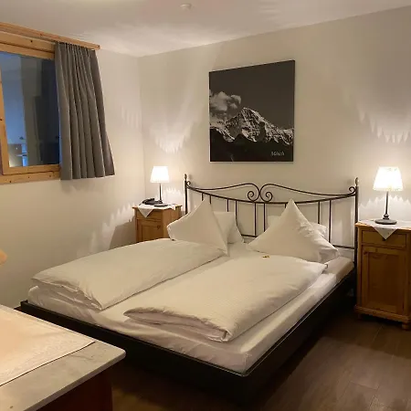Carlton-europe Vintage Adults 4*