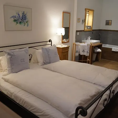 Carlton-europe Vintage Adults 4* Interlaken