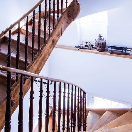 Carlton-europe Vintage Adults 4*