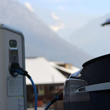 Carlton-europe Vintage Adults 4*