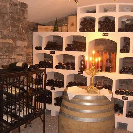 Carlton-europe Vintage Adults 4*