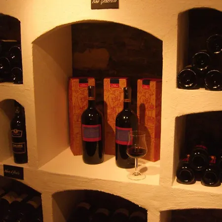 Carlton-europe Vintage Adults インターラーケン