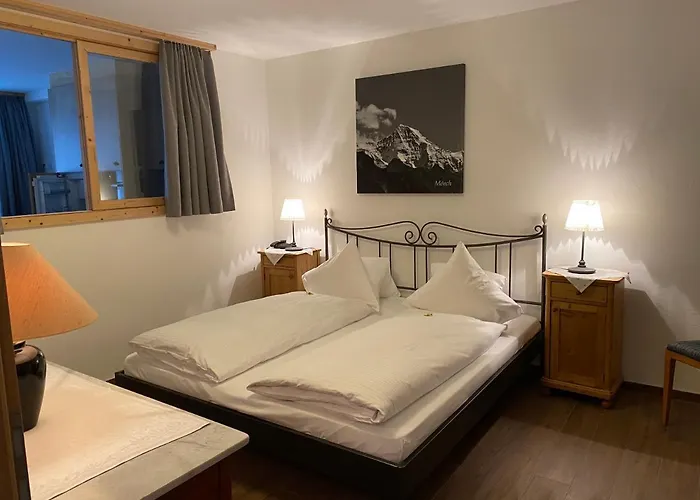 Carlton-europe Vintage Adults 4*