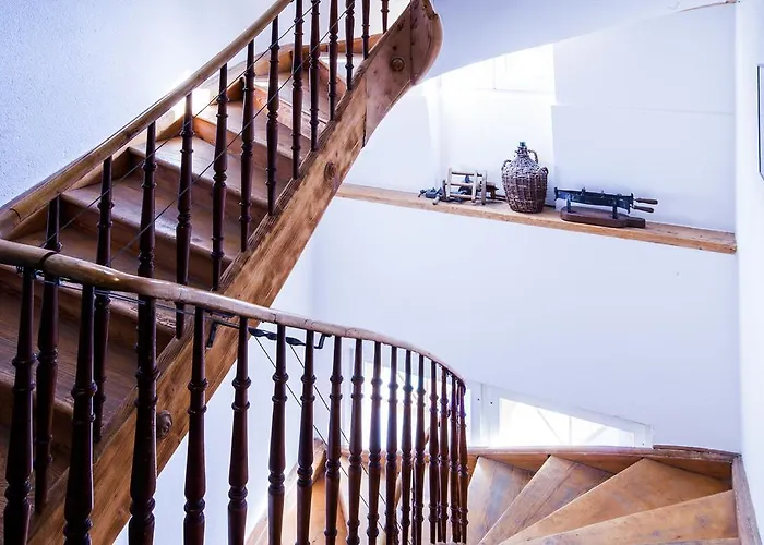 Carlton-europe Vintage Adults 4*