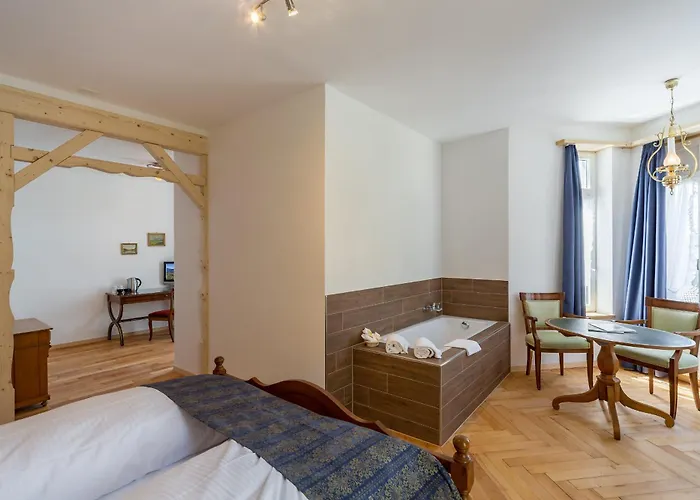 Hotel Carlton-europe Vintage Adults